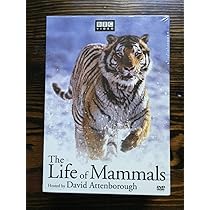 その他 Life of Mammals 1-4 [DVD] Amazon.co.jp: Life of Mammals 1 [DVD] : David Attenborough: DVD